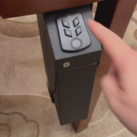 Wall-mounted fingerprint password pistol safe